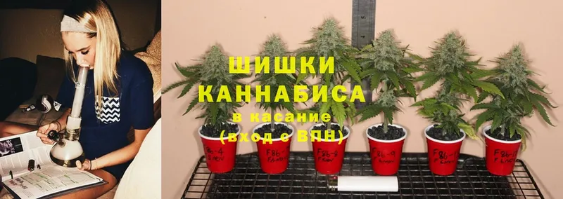 наркота  Пятигорск  Канабис Bruce Banner 